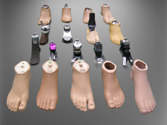 All wood above knee prosthesis standard foot and ankle
